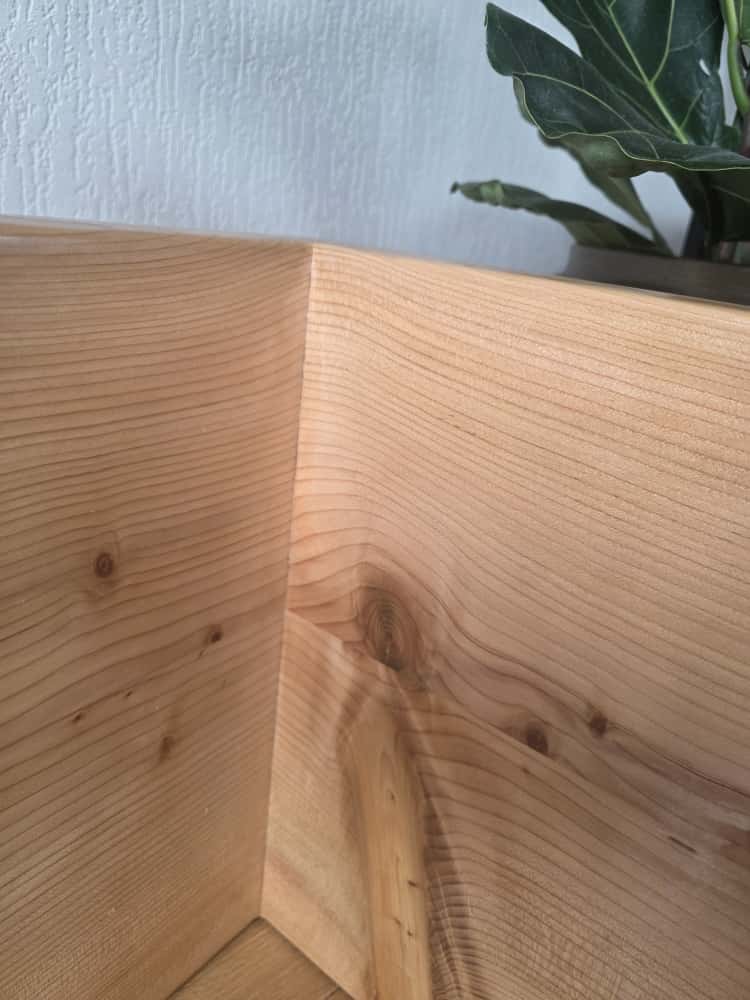 IMG-20250721-WA0005 IMG-20250721-WA0005